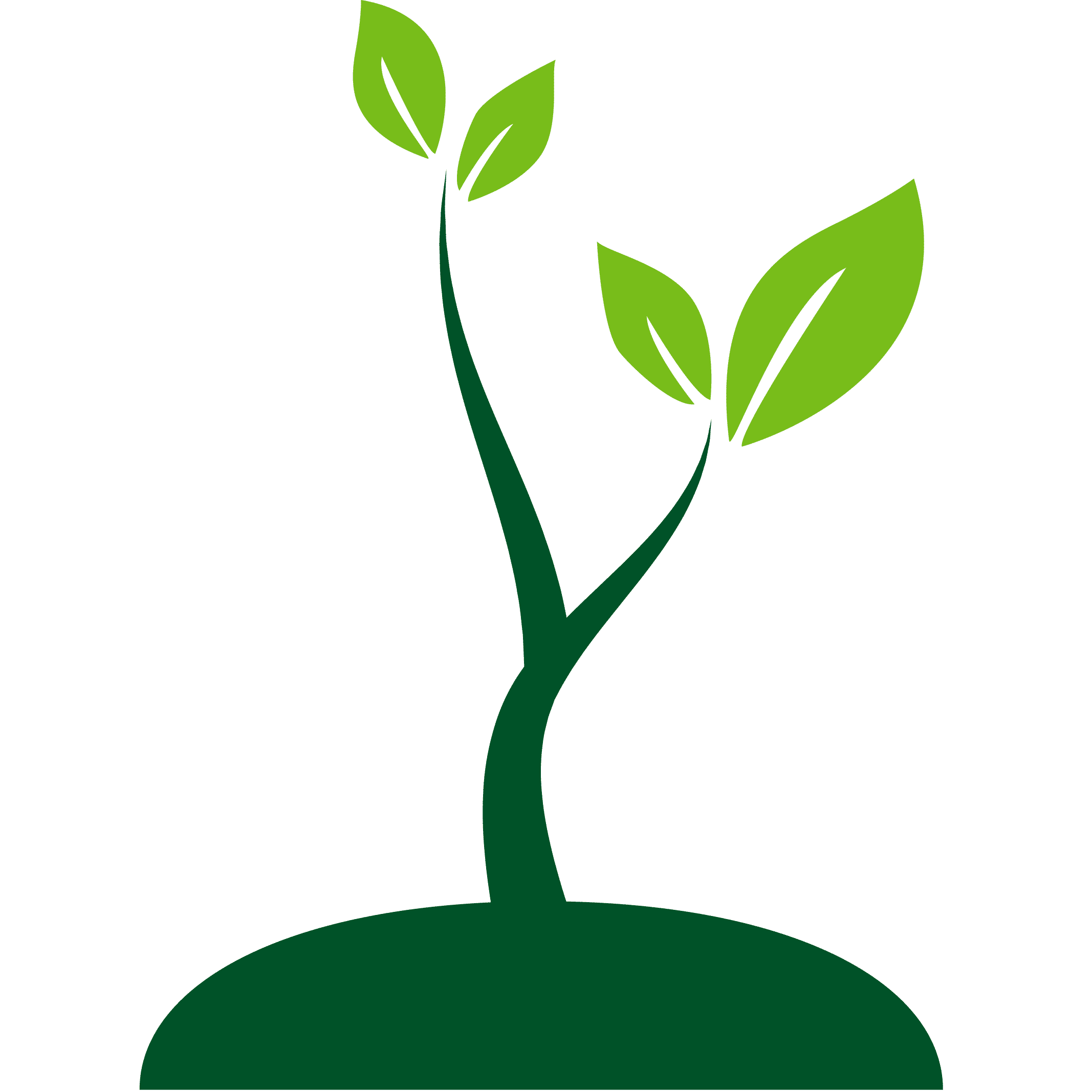 Roots and Shoots , Gardening services , Wiltshire